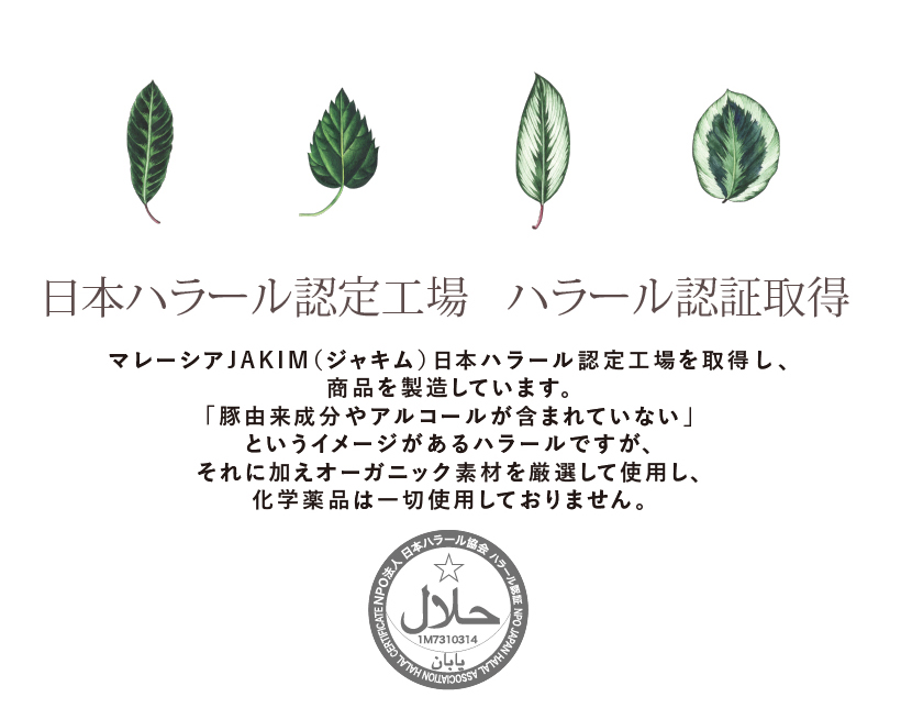 MYYUKI BLACKPAINT. concept