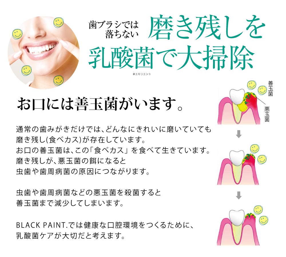 オーラルケアもオーガニック ロイテリ菌 歯みがき 100g