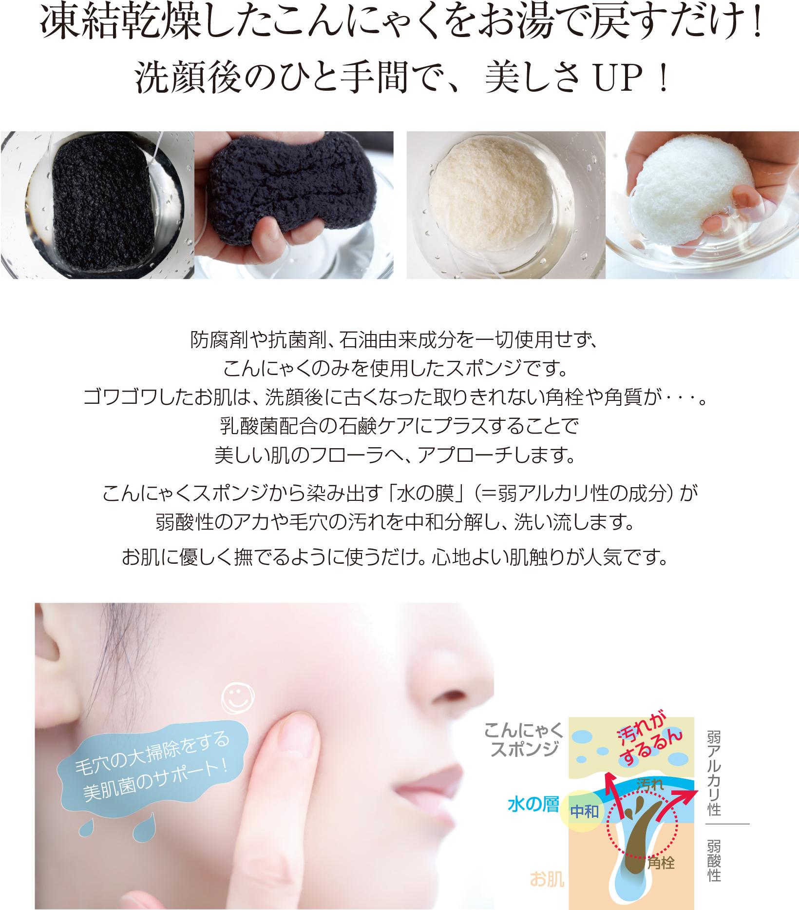 フェイシャル 洗顔 スポンジ スキンケア 蒟蒻スポンジ