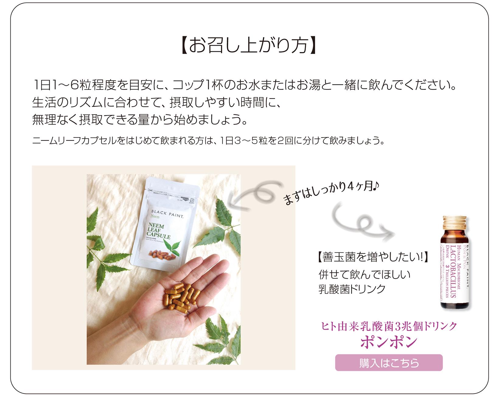 誕生 ヒト乳酸菌配合 シルバ-Agライン