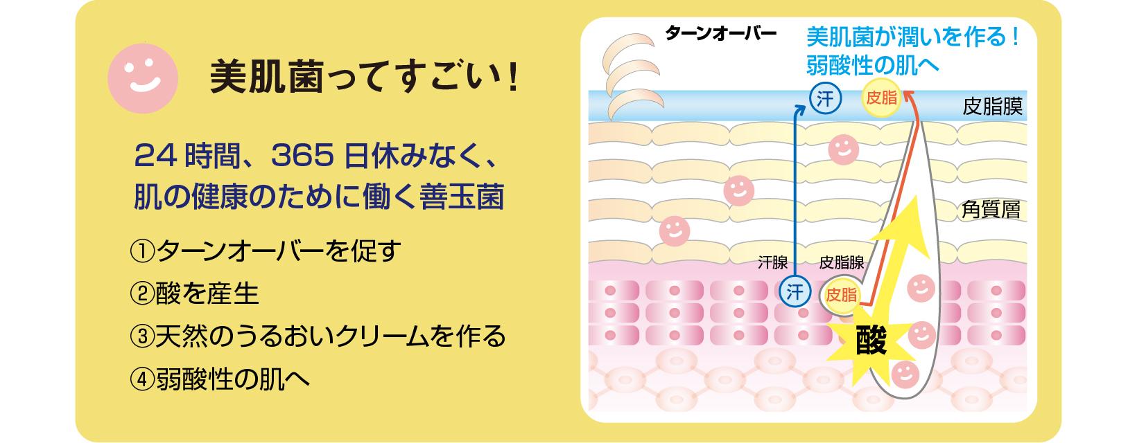 美肌菌ってすごい！