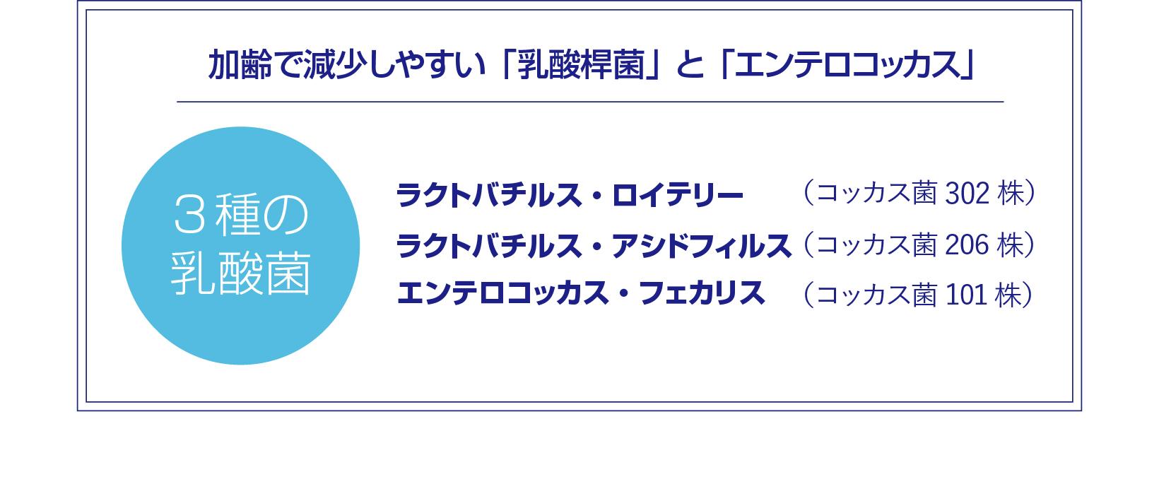 美肌菌を肌に届ける３種の乳酸菌