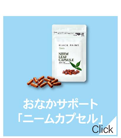 エナジーラバー