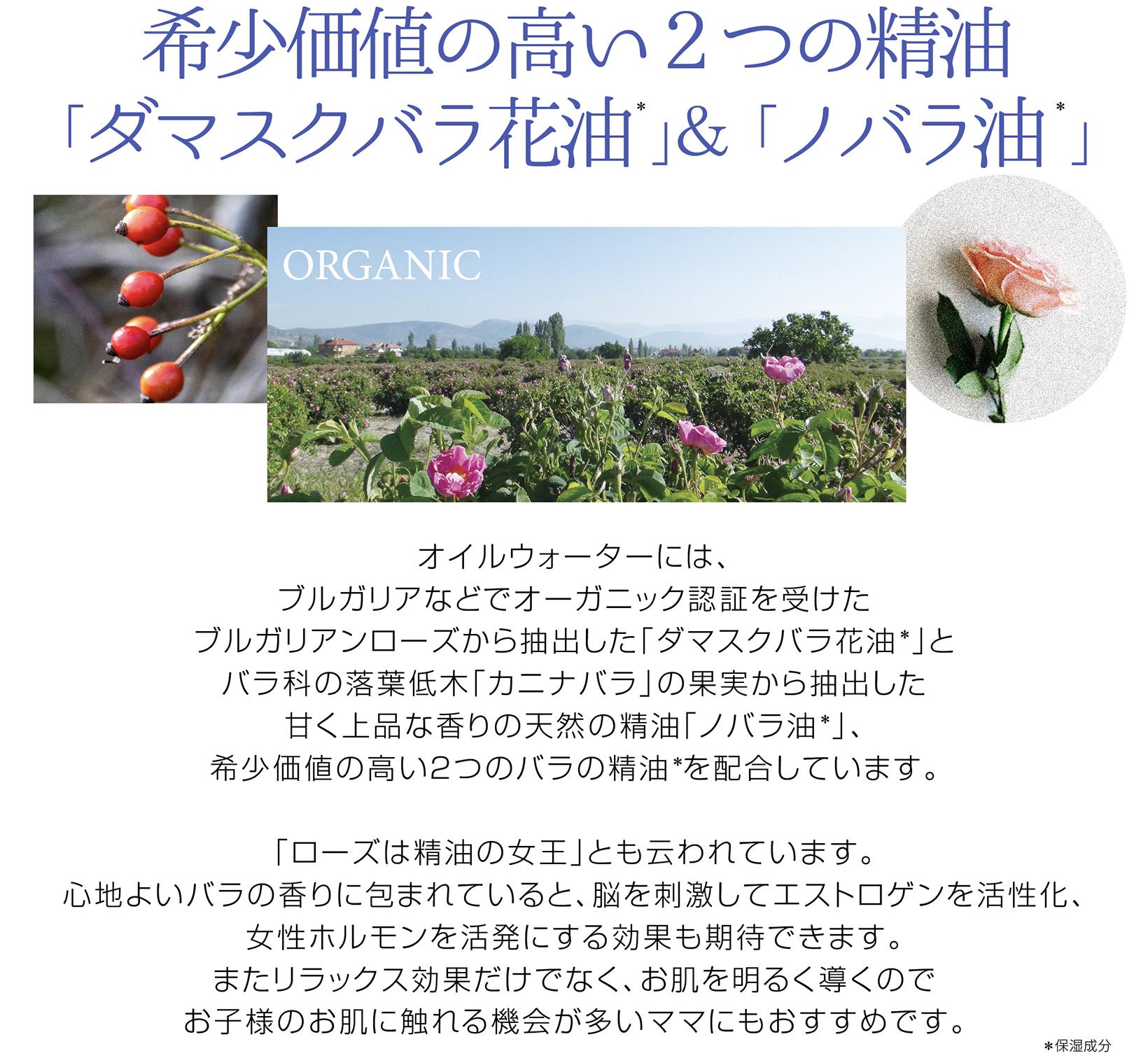 天然の香りはダマスクローズとノバラ ブルガリアなどでオーガニック認証を受けたブルガリアンローズから抽出した高貴な天然精油「ダマスクローズ」。
そして、バラ科の落葉低木「カニナバラ」の果実から抽出した甘く上品な香りの天然精油「ノバラ油」。希少価値の高い２つのバラの精油を使用。リラックス効果がラベンダーよりも高いと言われる天然バラの香りに包まれて癒されませんか？
さらに、これら精油は保湿効果にも優れており、肌のキメを整え乾燥からお肌を守ります。また、整肌効果があるのでダメージを受けやすい肌も健やかにサポート。
