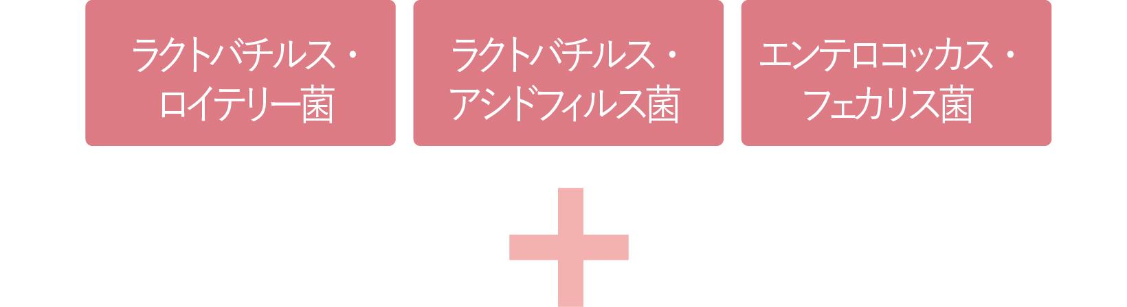 ３種のスーパー乳酸菌配合