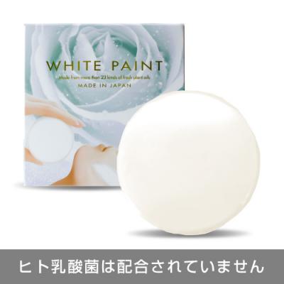 ホワイトペイント 120g