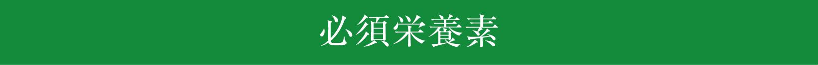 必須栄養素